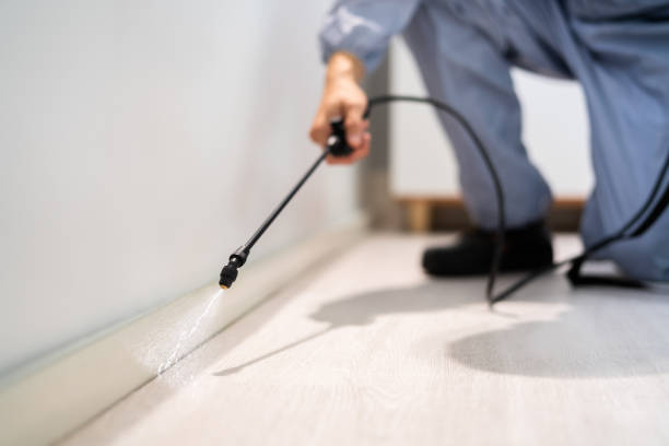 Licensed Rodent Control service in Lake Odessa, MI - Nex Pest Control