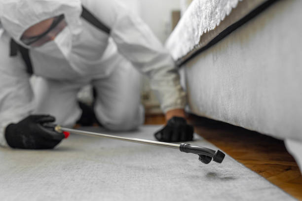 Professional Rodent Control technician working in Lake Odessa, MI