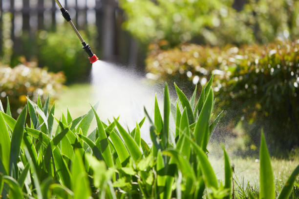 24/7 Emergency Rodent Control experts in Lake Odessa, MI