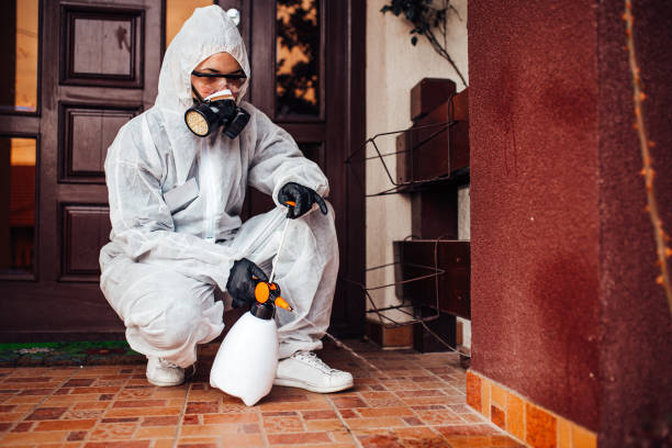 Reliable Rodent Control contractor in Lake Odessa, MI by Nex Pest Control