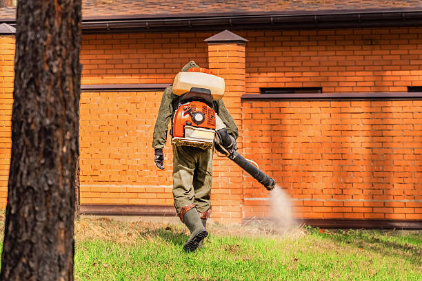 Trusted Termite Control service in Lake Odessa, MI - Nex Pest Control